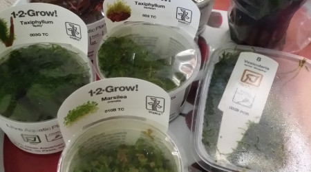 Jardinage cet après midi!!!