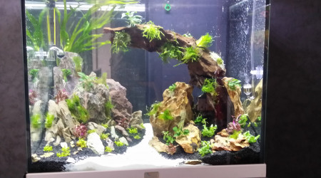 Mise en eau terminée