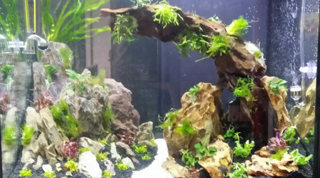 Nouveau bac en eau typé "AquasScape"