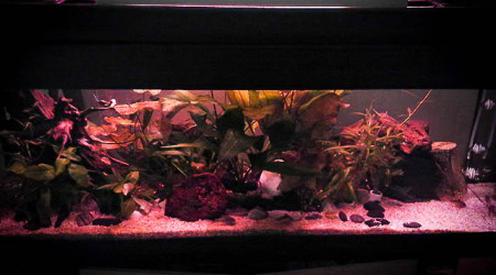 évolution fin aout 2019