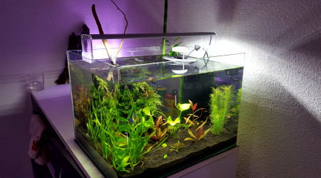 aquarium Nuage Dennerle Scapers Tank 35 L