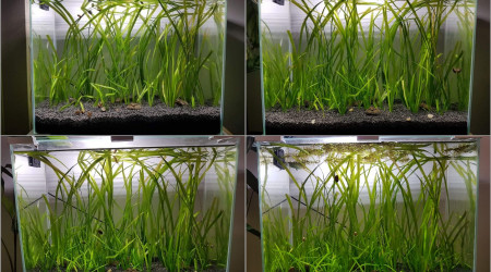 Évolution 15/06/19 au 07/09/19