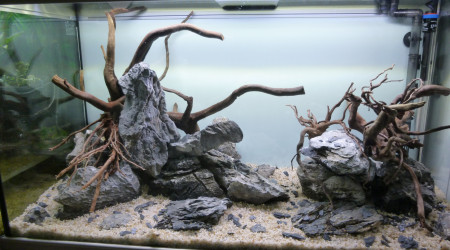 aquatlantis fusion 100