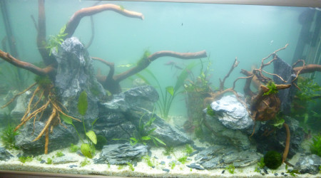 aquatlantis fusion 100