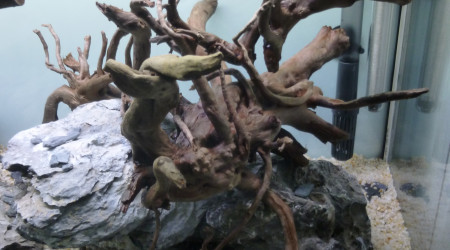 aquatlantis fusion 100