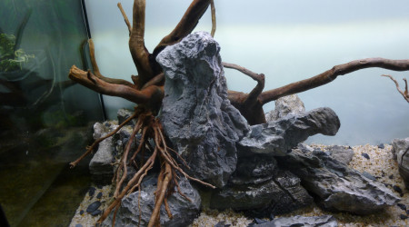 aquatlantis fusion 100