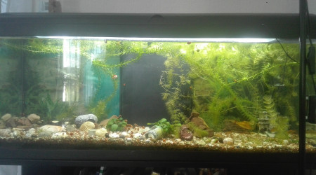 aquarium Le 110 Lts