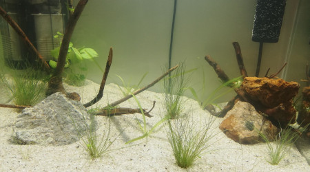 Mise en eau 55L Amazonien