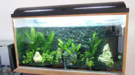 aquarium bac 3