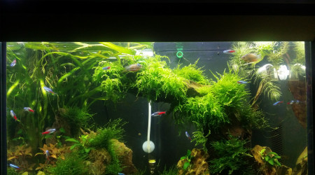 J'adore la mousse vous l'aurez compris lol