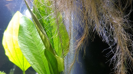 Aussi belle en dessous que dessus !