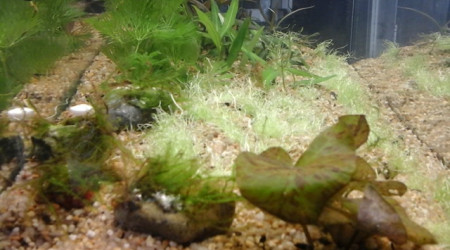 un petit reset du nano.