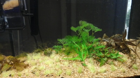 un petit reset du nano.