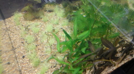 un petit reset du nano.