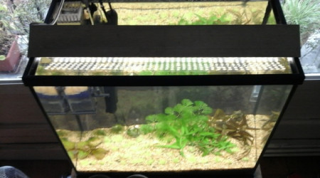 un petit reset du nano.