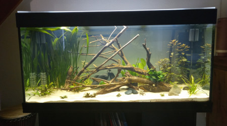 Prêt à accueillir ses locataires !! ????