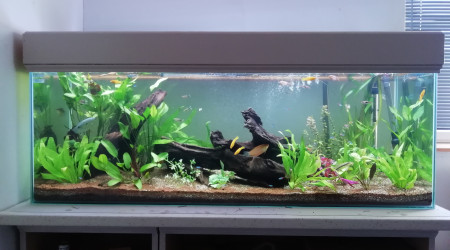 Bac communautaire 400l