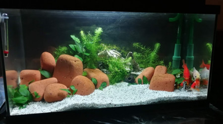 aquarium Aquarium 60 L