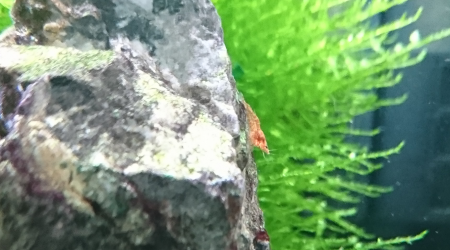 Mode "exploration" ON