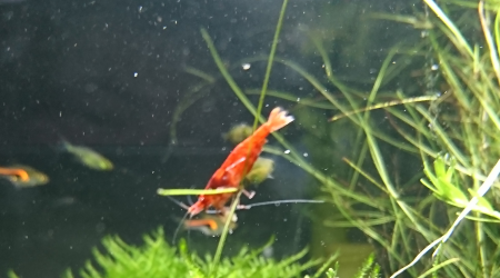 ... moi j'm'en balance...