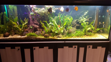 aquarium 600l