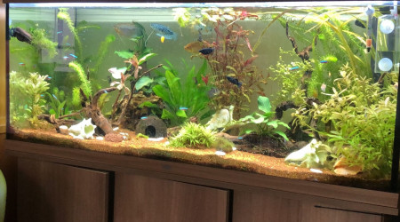 vue d'ensemble 3 décembre