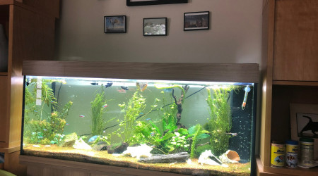 le bac à mes débuts en juin