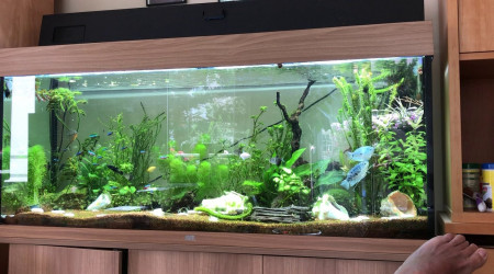 vue générale sept 2019