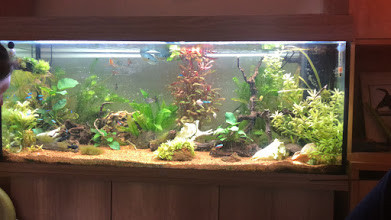 vue générale novembre 2019