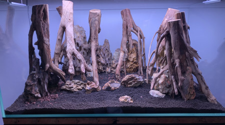Hardscape