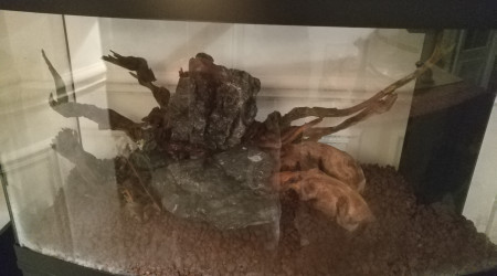 Projet initial avec sol de pouzzo et roches + racines au centre