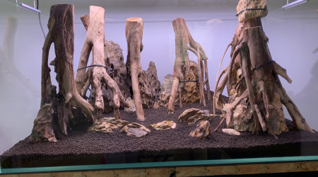 Hardscape terminé