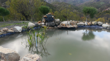 aquarium Bassin Adjemaane