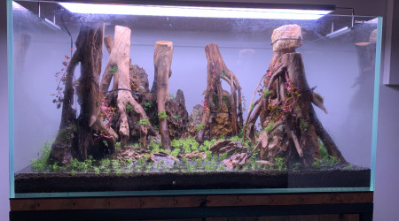 Plantations terminées !