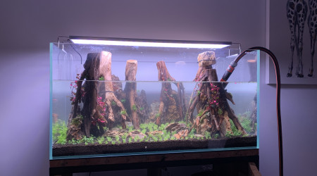 Mise en eau en cours