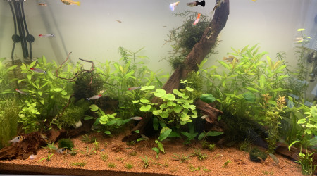 aquarium AQUATLANTIS 200L