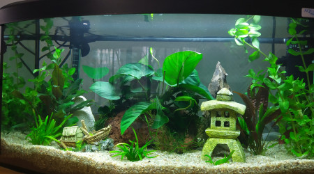 aquarium 56 litre