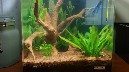 aquarium Nano v2