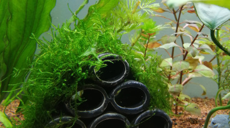 Petit investissement