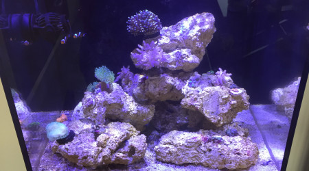 aquarium Nano Max Redsea