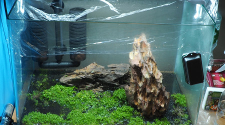 Pret pour 2semaines d'absence