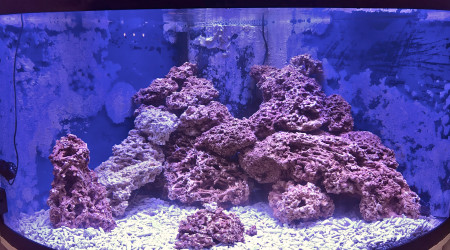 aquarium récifal 360l