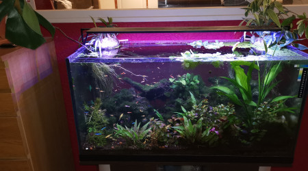 aquarium Aquarium 200L