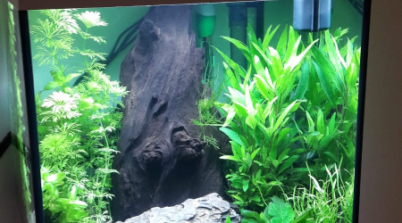 aquarium Askoll Pure M