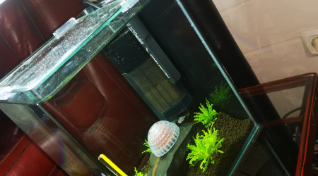 aquarium Nano 1