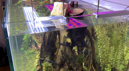 J+24: on lève le voile !