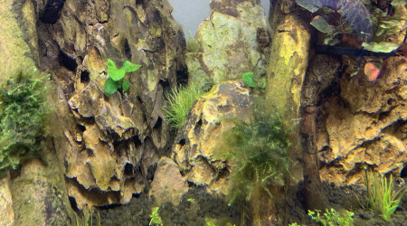 J+24: on lève le voile !