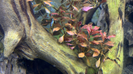 J+24: on lève le voile !