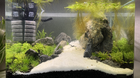 Cyclage en cours après un peu plus d’une semaine