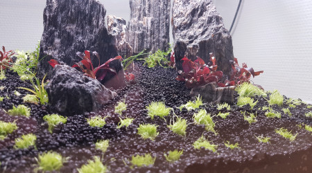 Mise en place de la lumière